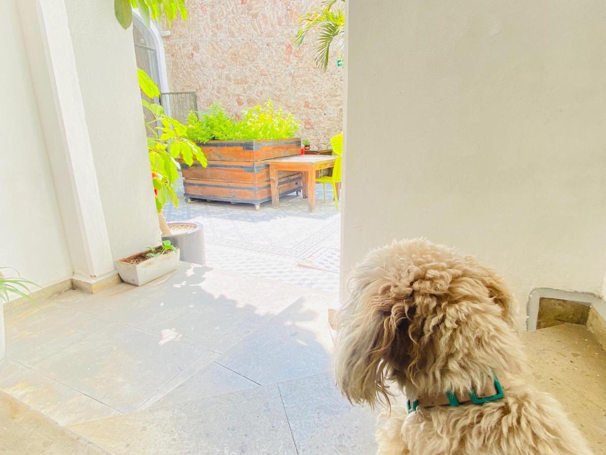 Kuku Ruku Hotel Queretaro Ngoại thất bức ảnh