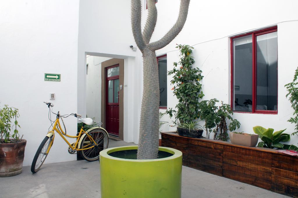 Kuku Ruku Hotel Queretaro Ngoại thất bức ảnh